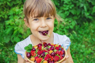 Farklı ev yapımı yaz meyveleri bir çocuğun elinde. Seçici odak.