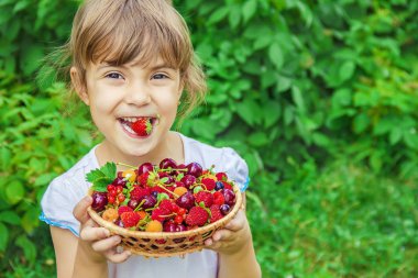 Farklı ev yapımı yaz meyveleri bir çocuğun elinde. Seçici odak.