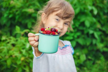 Farklı ev yapımı yaz meyveleri bir çocuğun elinde. Seçici odak.