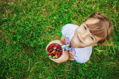 Farklı ev yapımı yaz meyveleri bir çocuğun elinde. Seçici odak.