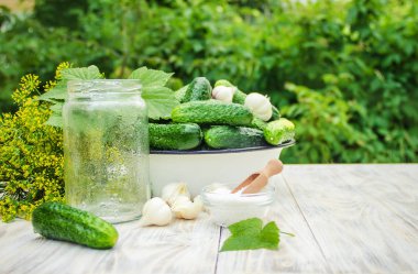 taze ev salatalık korunması. Seçici odak.