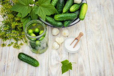 taze ev salatalık korunması. Seçici odak.