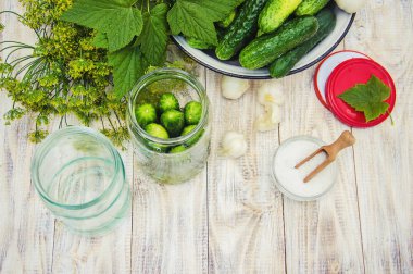 taze ev salatalık korunması. Seçici odak.