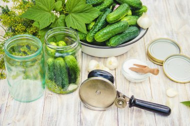 taze ev salatalık korunması. Seçici odak.