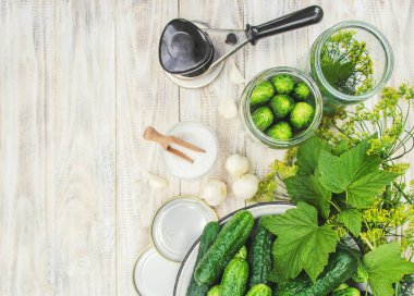 taze ev salatalık korunması. Seçici odak.