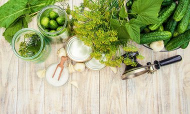 taze ev salatalık korunması. Seçici odak.