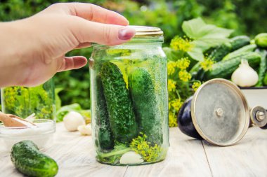 taze ev salatalık korunması. Seçici odak.