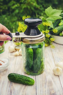 taze ev salatalık korunması. Seçici odak.