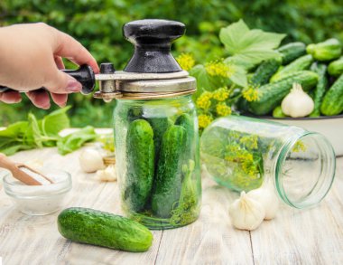 taze ev salatalık korunması. Seçici odak.