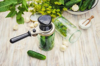 taze ev salatalık korunması. Seçici odak.