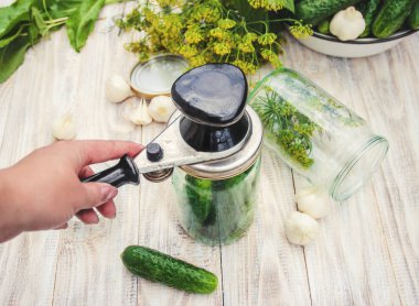 taze ev salatalık korunması. Seçici odak.