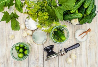 taze ev salatalık korunması. Seçici odak.