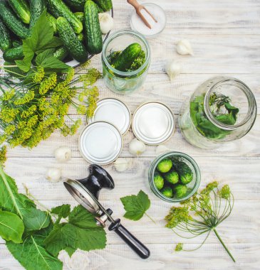 taze ev salatalık korunması. Seçici odak.