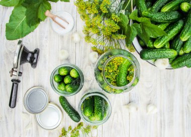 taze ev salatalık korunması. Seçici odak.