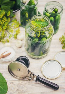 taze ev salatalık korunması. Seçici odak.