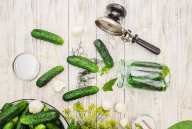 taze ev salatalık korunması. Seçici odak.