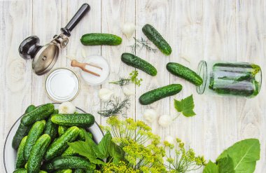 taze ev salatalık korunması. Seçici odak.