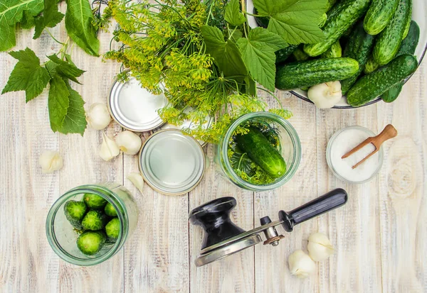 taze ev salatalık korunması. Seçici odak.