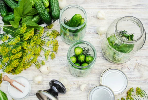 Preservation Fresh House Cucumbers Selective Focus — Stock Photo, Image