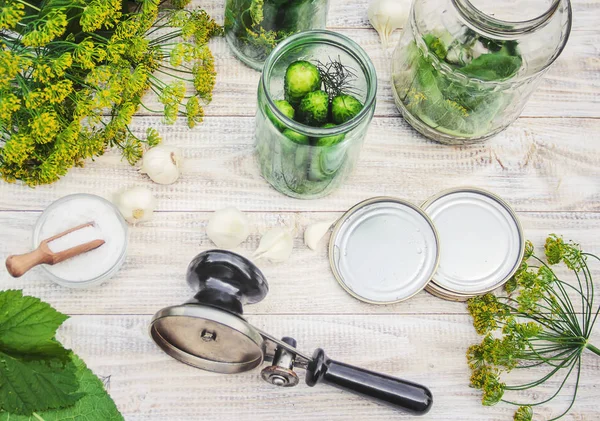 Preservation Fresh House Cucumbers Selective Focus — Stock Photo, Image