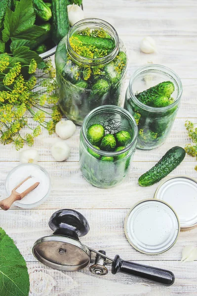 Preservation Fresh House Cucumbers Selective Focus — Stock Photo, Image