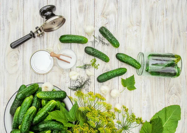 taze ev salatalık korunması. Seçici odak.