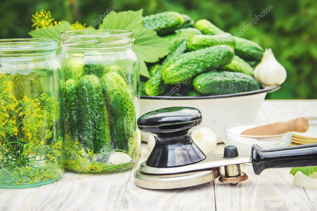 preservation of fresh house cucumbers. Selective focus.