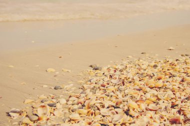 deniz arka plan. Seçici odak. Doğa. 