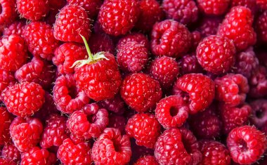 Ahududu meyveleri. Ev. Seçici odak.