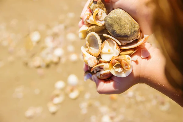 Marine Background Selective Focus Nature — Stock Photo, Image