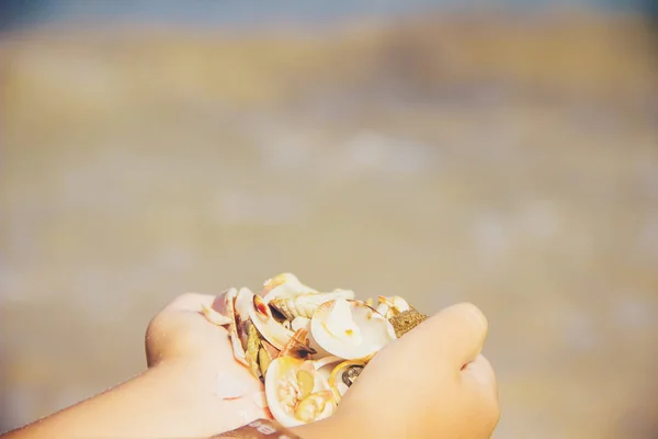 Marine Background Selective Focus Nature — Stock Photo, Image