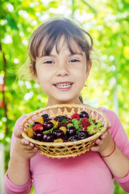 Farklı ev yapımı yaz meyveleri bir çocuğun elinde. Seçici odak.