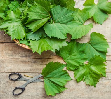 Yaprak dolma yemek pişirmek için üzüm. Seçici odak. 