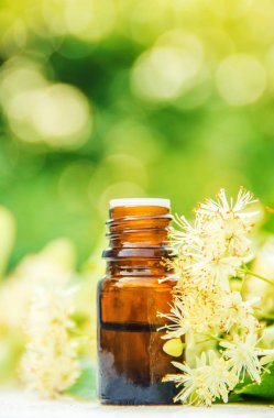 Ihlamur özü ve küçük bir şişe içinde çiçekler. Seçici odak.