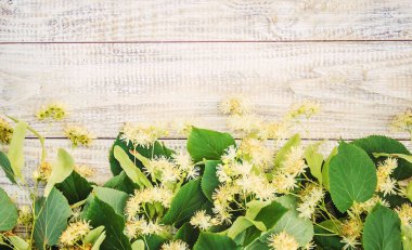 Ihlamur özü ve küçük bir şişe içinde çiçekler. Seçici odak.