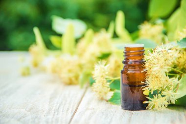 Ihlamur özü ve küçük bir şişe içinde çiçekler. Seçici odak.