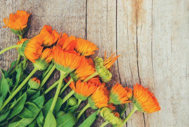 Calendula özü ve küçük bir şişe içinde çiçekler. Seçici odak. 