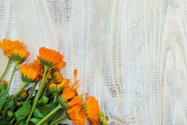 Calendula özü ve küçük bir şişe içinde çiçekler. Seçici odak. 