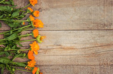 Calendula özü ve küçük bir şişe içinde çiçekler. Seçici odak. 