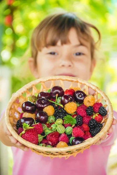 Verschillende Huisgemaakte Zomer Bessen Handen Van Een Kind Selectieve Aandacht — Stockfoto