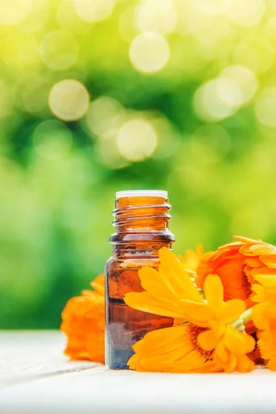 Calendula Extract Flowers Small Bottle Selective Focus — Stock Photo, Image