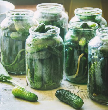 taze ev salatalık korunması. Seçici odak.