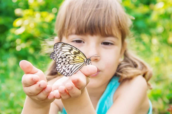 Kind Mit Einem Schmetterling Idee Leuconoe Selektiver Fokus — Stockfoto