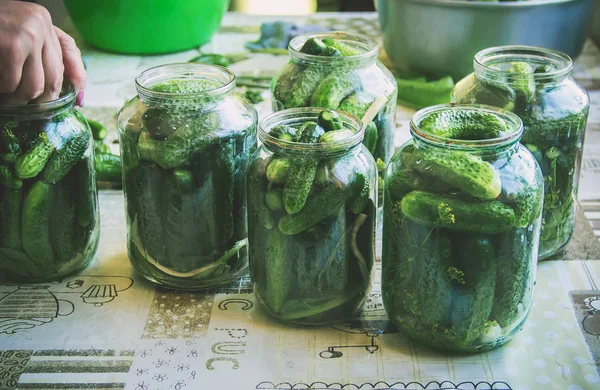 taze ev salatalık korunması. Seçici odak.