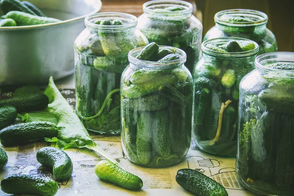 taze ev salatalık korunması. Seçici odak.