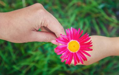 Çocuk annesine çiçek verir. Seçici odak. 