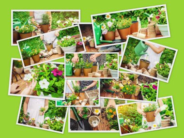 Küçük bir kız çiçek ekiyor. Genç bahçıvan. Seçici odak.