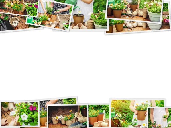 Uma Menina Está Plantando Flores Jovem Jardineiro Foco Seletivo — Fotografia de Stock