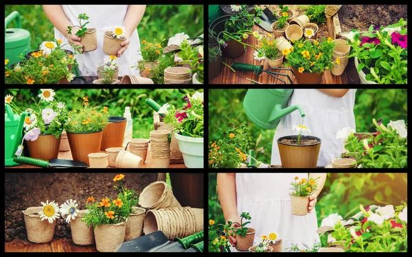 Malá Holka Zasazuje Květiny Mladý Zahradník Selektivní Zaměření — Stock fotografie