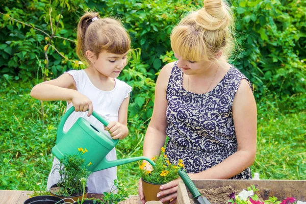 Little Girl Planting Flowers Young Gardener Selective Focus — Stock Photo, Image